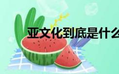 亚文化到底是什么（亚文化是什么）