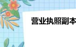营业执照副本丢失补办流程