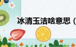 冰清玉洁啥意思（玉洁冰清的意思）