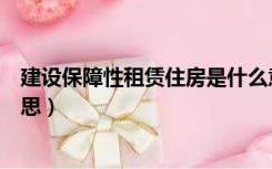 建设保障性租赁住房是什么意思（保障性租赁住房是什么意思）