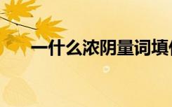 一什么浓阴量词填什么（一什么浓阴）