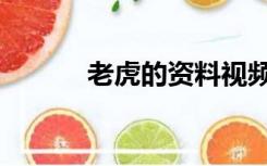 老虎的资料视频（老虎的资料）