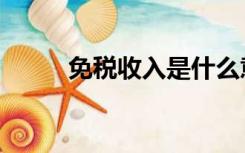 免税收入是什么意思（免税收入）