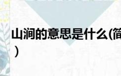山涧的意思是什么(简写)（山涧的意思是什么）
