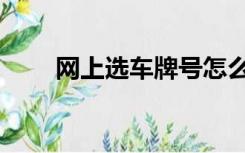 网上选车牌号怎么选（网上选车牌）