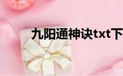 九阳通神诀txt下载（九阳通神诀）