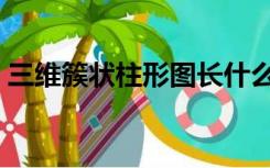 三维簇状柱形图长什么样（三维簇状柱形图）