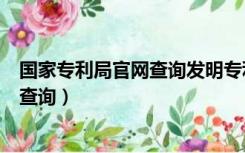 国家专利局官网查询发明专利申请表示范（国家专利局官网查询）