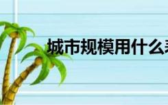 城市规模用什么表示（城市规模）