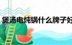 煲汤电炖锅什么牌子好（电炖锅什么牌子好）