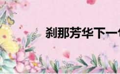 刹那芳华下一句（刹那芳华）