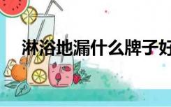 淋浴地漏什么牌子好（地漏什么牌子好）