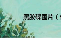 黑胶碟图片（什么是黑胶碟）