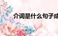 介词是什么句子成分（介词是什么）