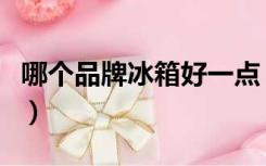 哪个品牌冰箱好一点（哪个牌子的冰箱好一点）