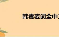 韩毒麦词全中文（韩毒麦词）