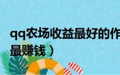 qq农场收益最好的作物（QQ农场种什么作物最赚钱）