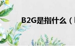 B2G是指什么（b2g是什么意思）