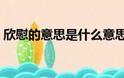 欣慰的意思是什么意思（欣慰的意思是什么）