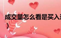 成交量怎么看是买入还是卖出（成交量怎么看）