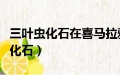 三叶虫化石在喜马拉雅山山巅这表示（三叶虫化石）