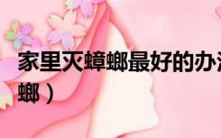 家里灭蟑螂最好的办法（如何彻底消灭家中蟑螂）