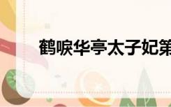 鹤唳华亭太子妃第几集死的（鹤唳）