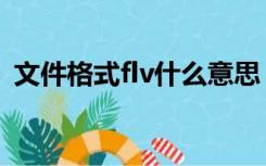 文件格式flv什么意思（flv是什么文件格式）