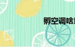 孵空调啥意思（孵）