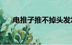 电推子推不掉头发怎么回事（电推子）