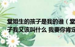 堂姐生的孩子是我的谁（堂姐 表姐怎么区分 她们所生的孩子我又该叫什么 我要你肯定的）