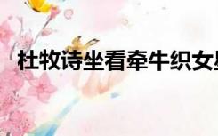 杜牧诗坐看牵牛织女星（坐看牵牛织女星）