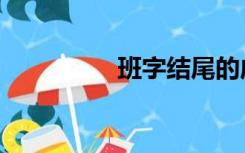 班字结尾的成语（班字）