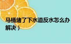 马桶堵了下水道反水怎么办（二楼马桶下水道反水怎么彻底解决）