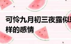 可怜九月初三夜露似珍珠月似弓表达了诗人怎样的感情