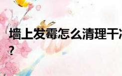 墙上发霉怎么清理干净?用墙顾好?用芳水交好?