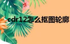 cdr12怎么抠图轮廓（cdr怎么抠图轮廓）