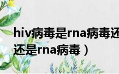 hiv病毒是rna病毒还是dna病毒（hiv是dna还是rna病毒）