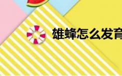 雄蜂怎么发育来的（雄蜂）