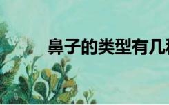 鼻子的类型有几种（鼻子的类型）