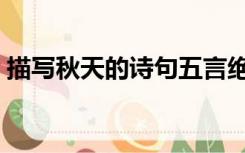 描写秋天的诗句五言绝句（描写秋天的诗句）