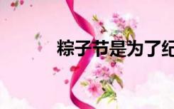 粽子节是为了纪念谁（粽子节）