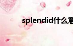 splendid什么意思（splendid）
