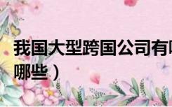 我国大型跨国公司有哪些（中国的跨国公司有哪些）