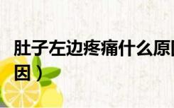 肚子左边疼痛什么原因（左边肚子痛有哪些原因）