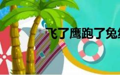 飞了鹰跑了兔绕口令（飞了）