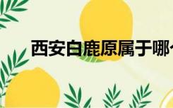 西安白鹿原属于哪个区（西安白鹿原）