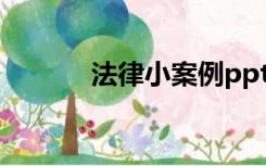 法律小案例ppt（法律小案例）