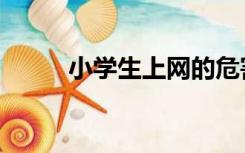 小学生上网的危害（上网的危害）