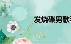 发烧碟男歌手（发烧碟）